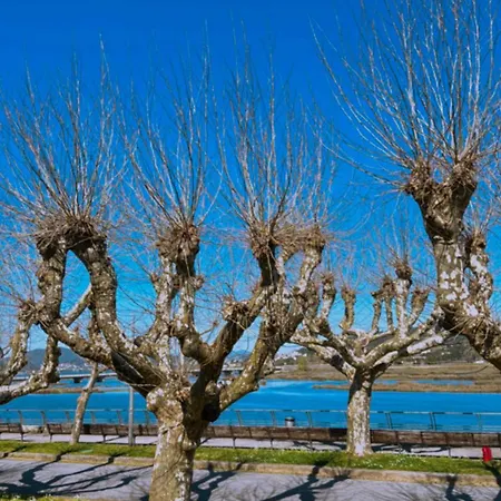 House Mariona Hostel Caminha