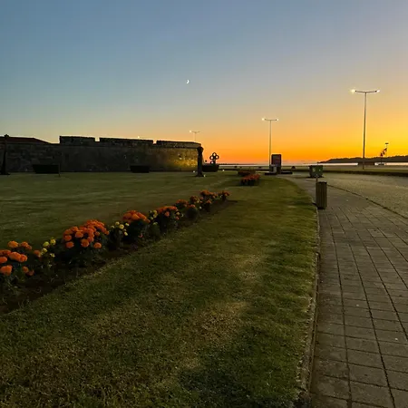 House Mariona * 卡米尼亚